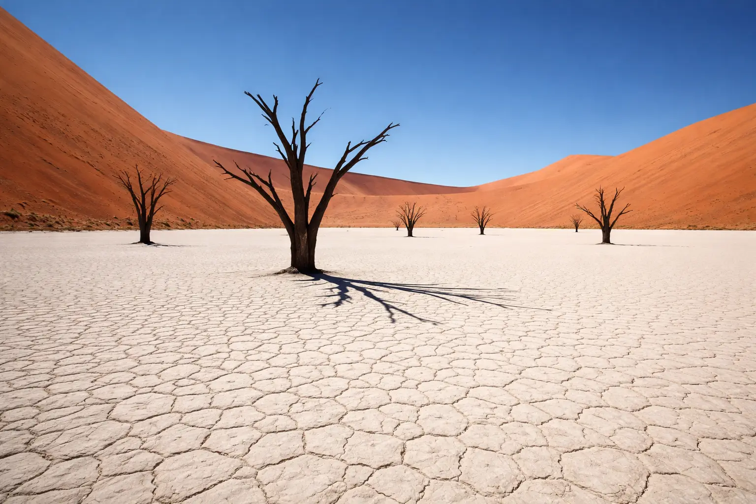 Namib-Naukluft National Park Namibia