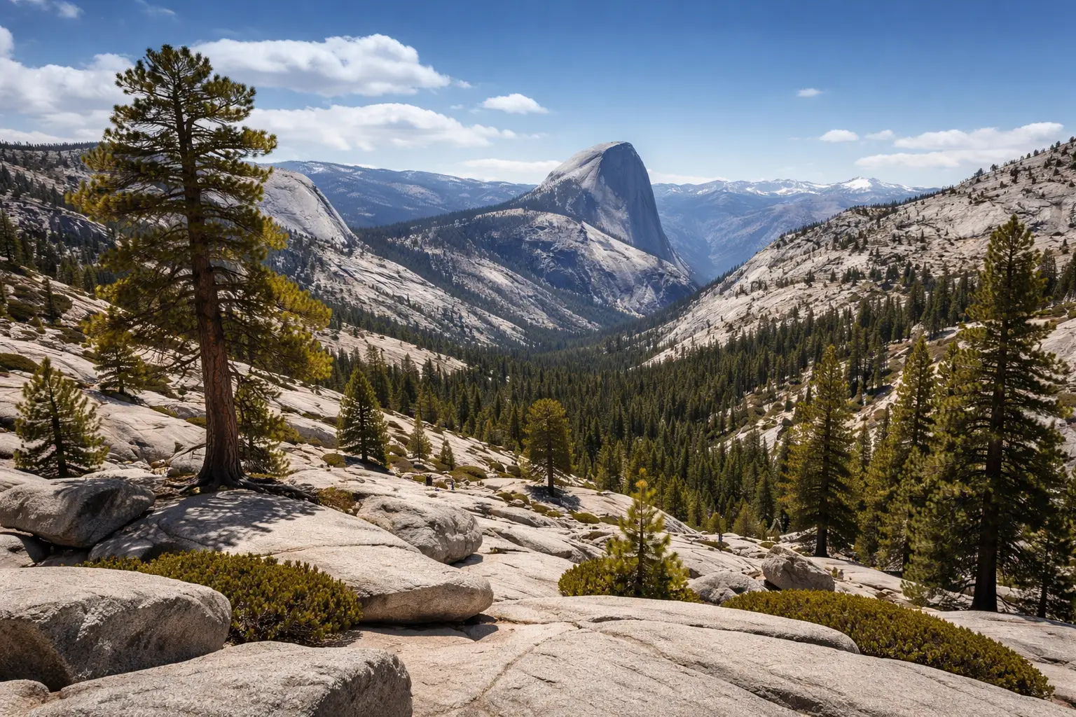 Stop at Olmsted Point