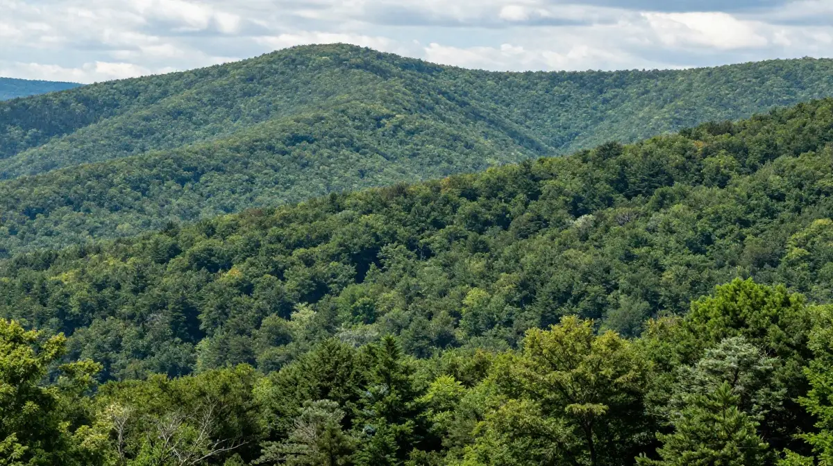Harlan County and Kingdom Come State Park