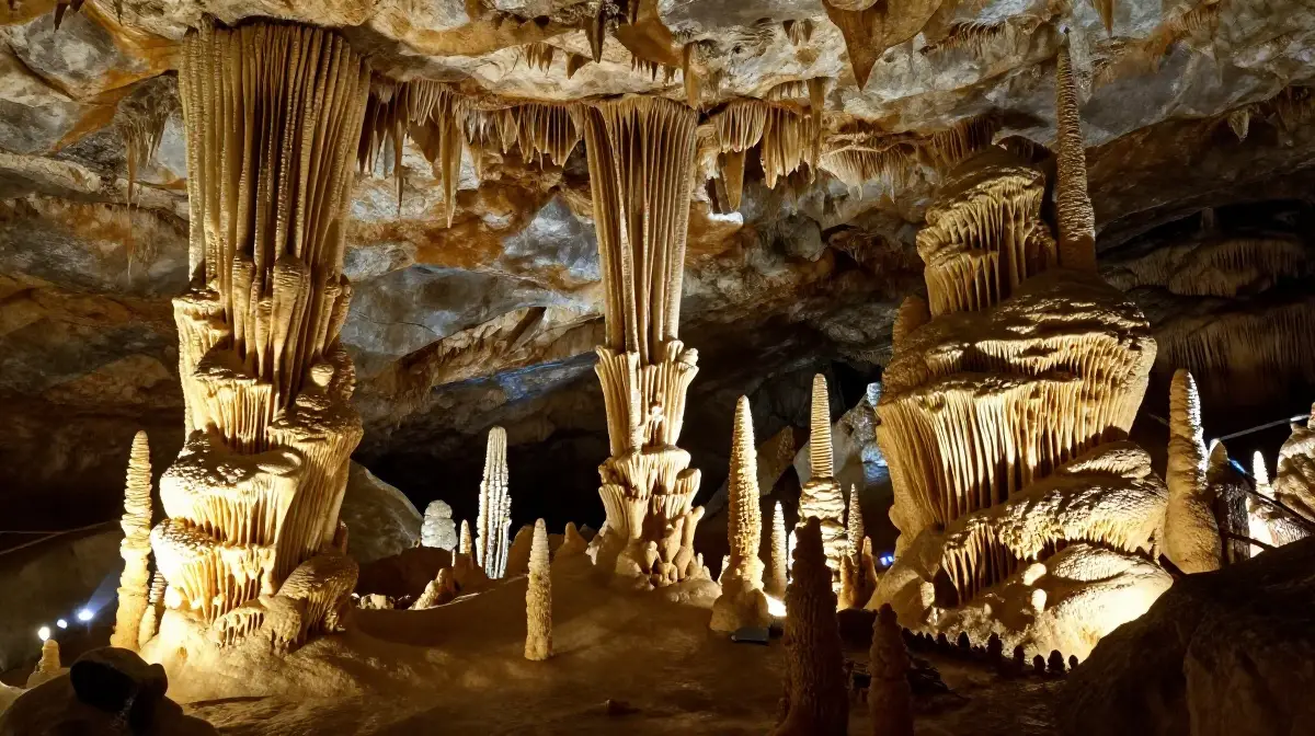 Mammoth Cave National Park