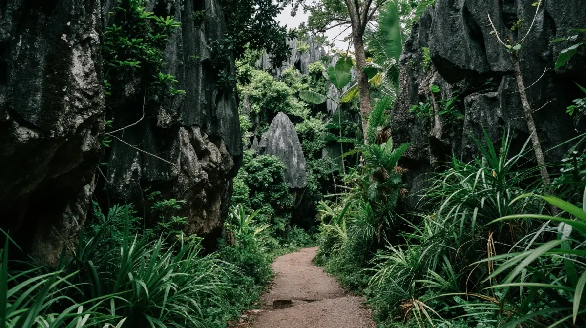 Yanbaru National Park