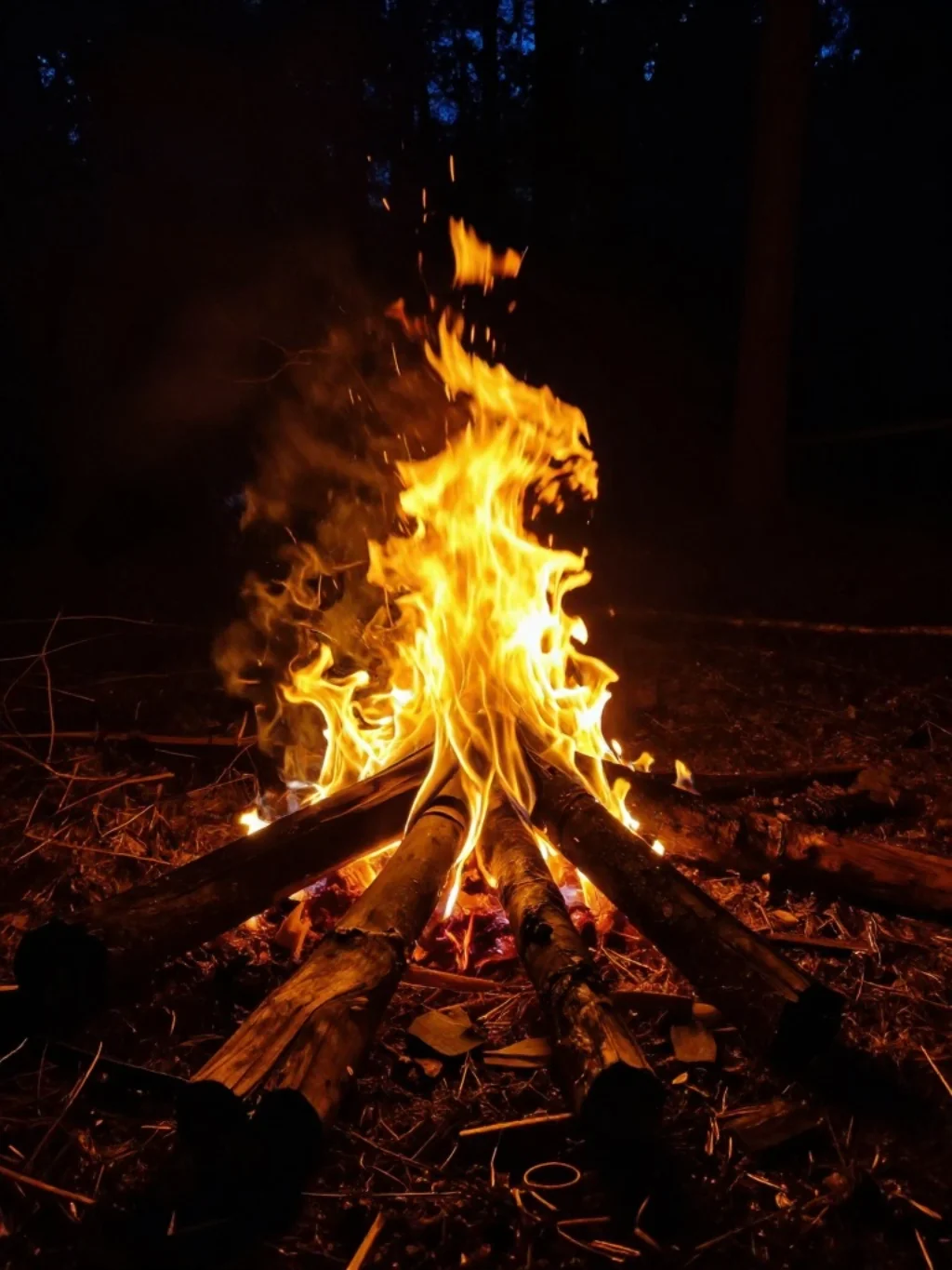 Curated Campsite Illumination Outshines Declining Dawn Forest Darkness