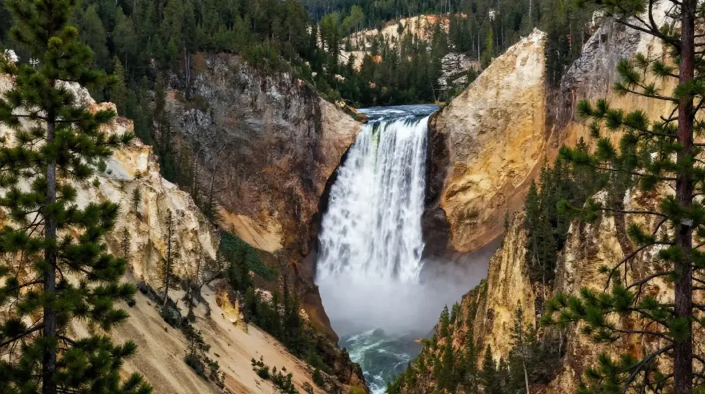 Waterfall Framed by Pine Forest